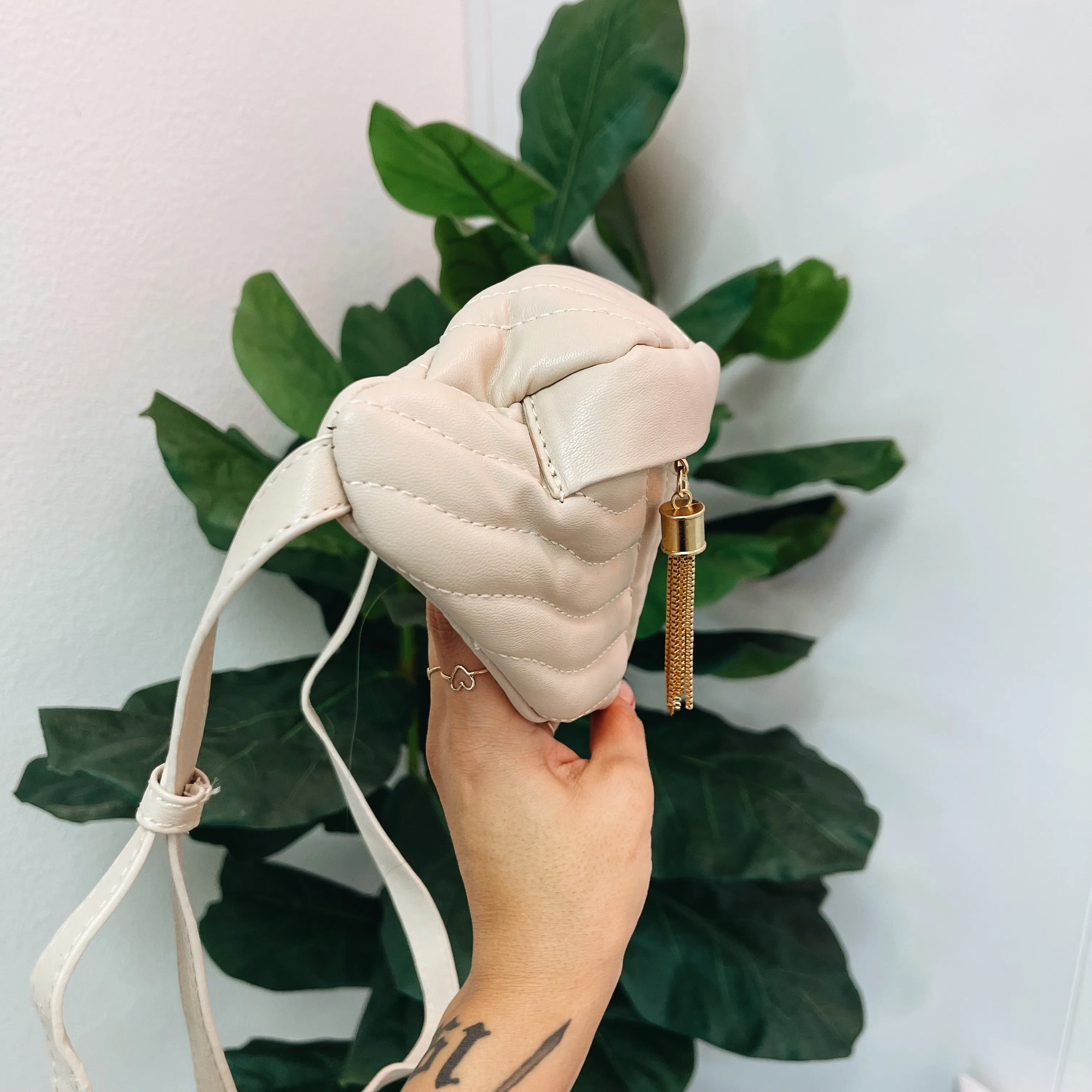 Minimalist Fanny Crossbody